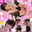 🔞毎週更新🔞💗ゆりんのちいさくてごめんなさい🐣🩵の商品