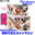 広瀬ゆう/ Yu Hirose＋ALL FANSの商品