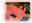 Codex Libido : Mundus R18