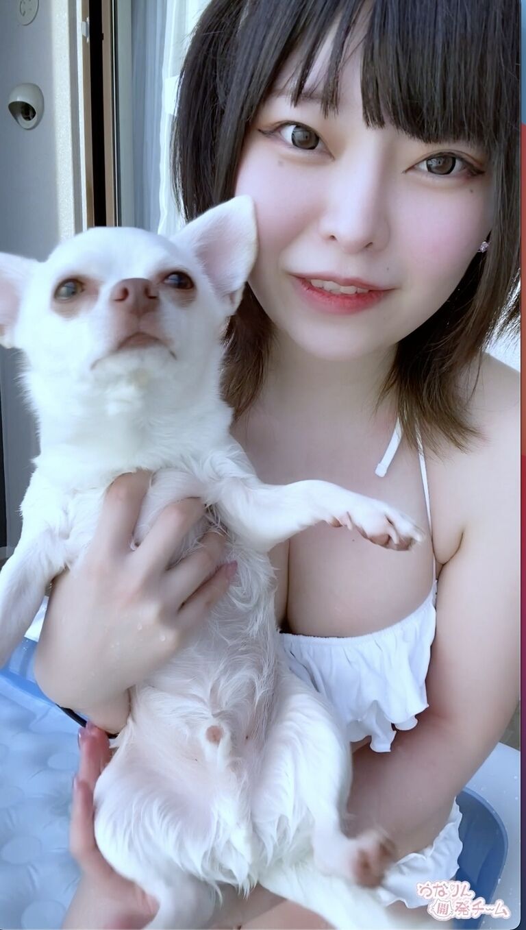犬とつなりんの夏。