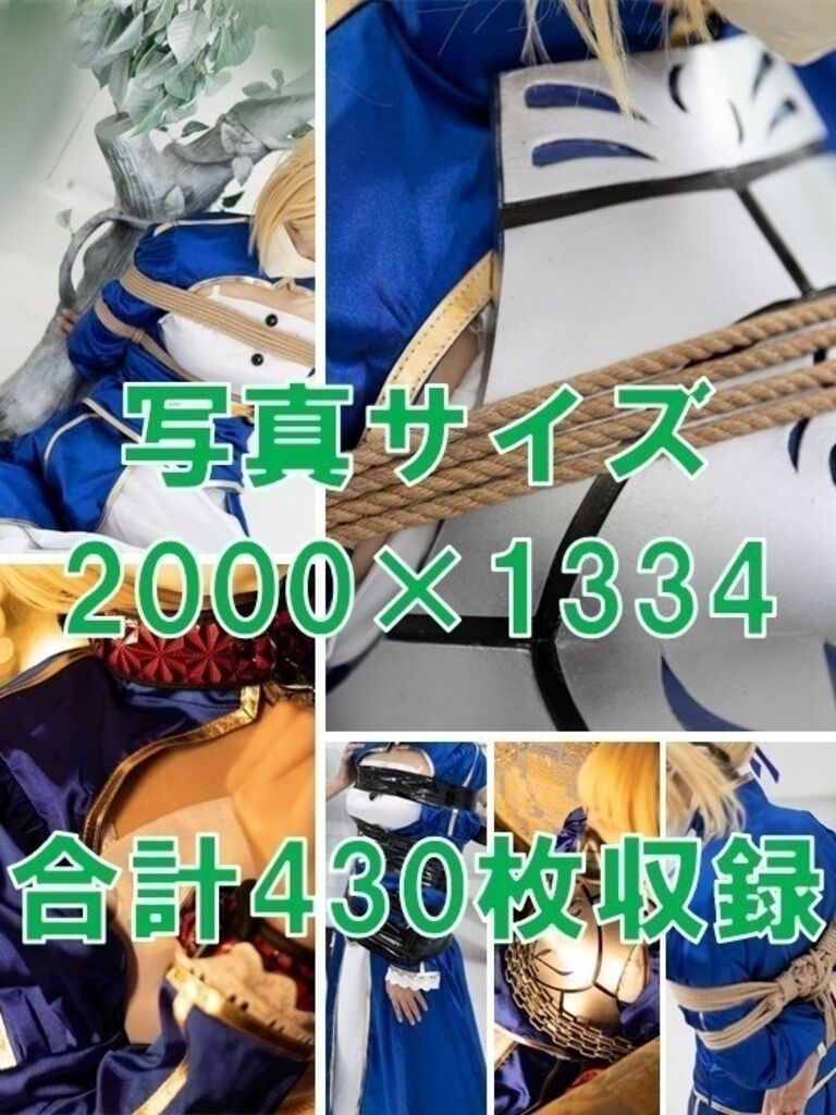 ゆめDIDシリーズ 苦難の騎士