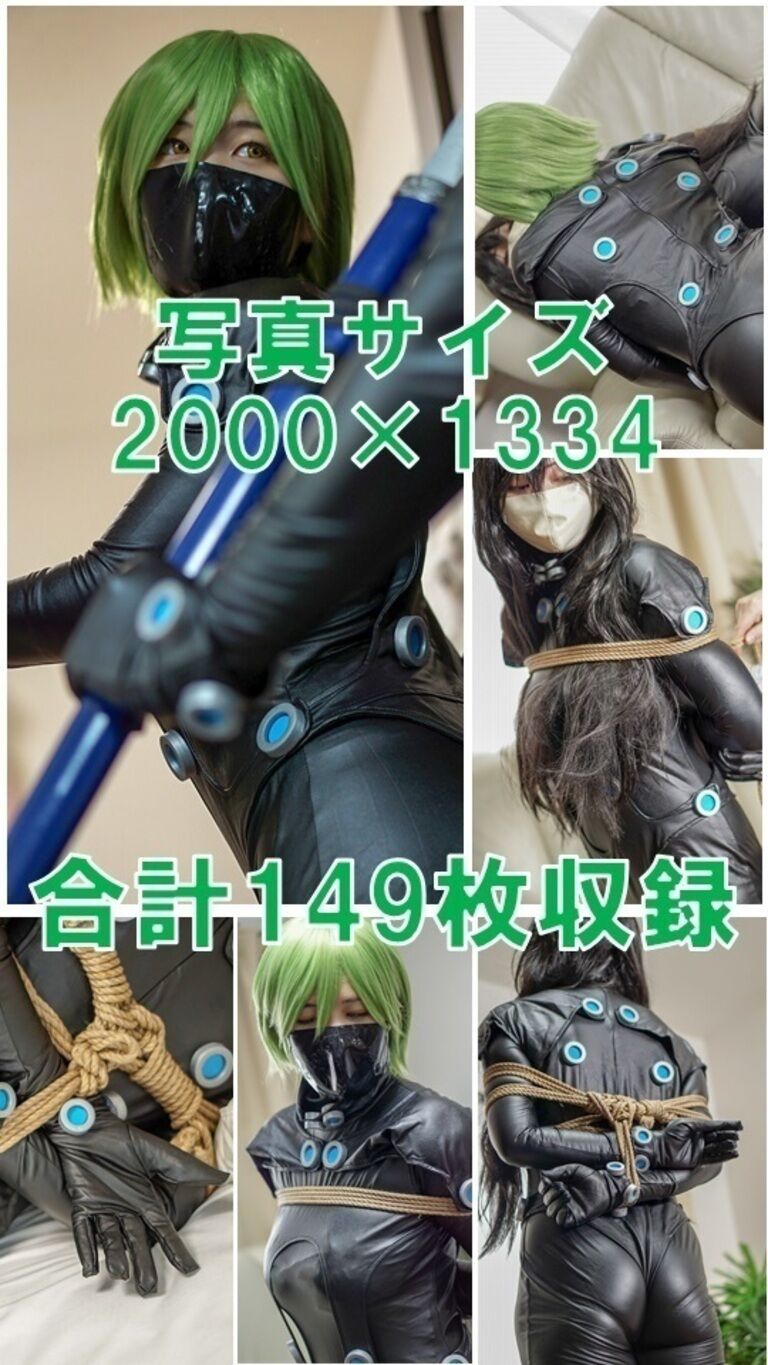サイバー忍者