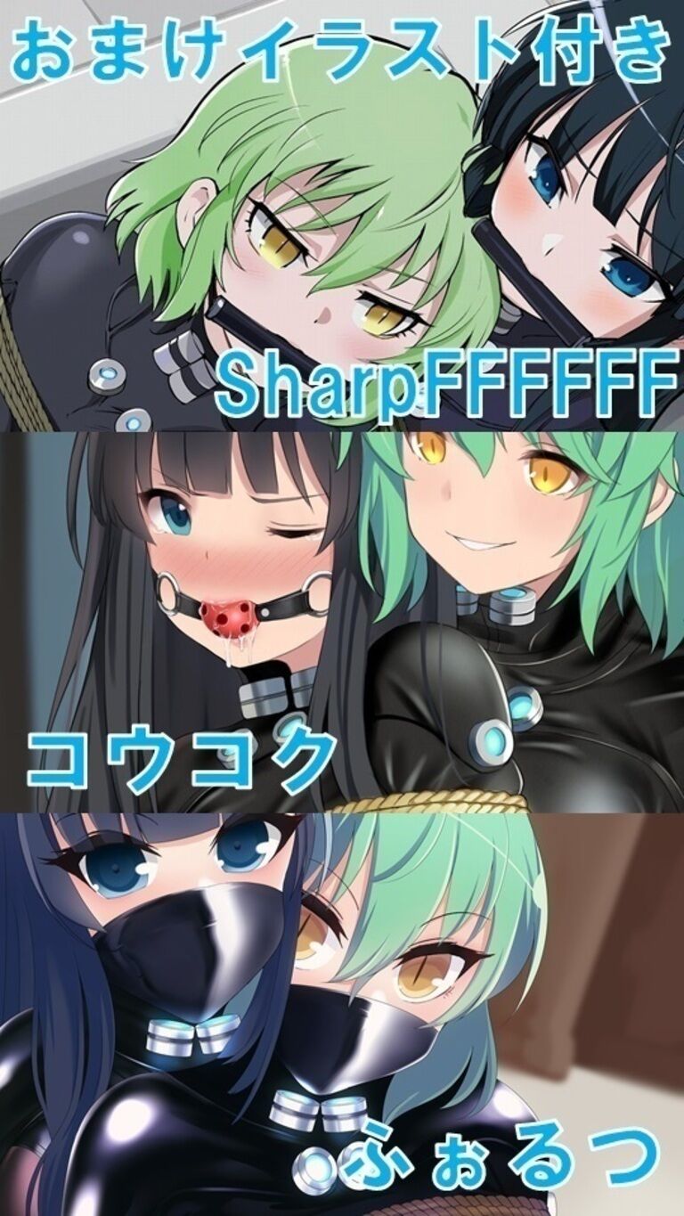 サイバー忍者