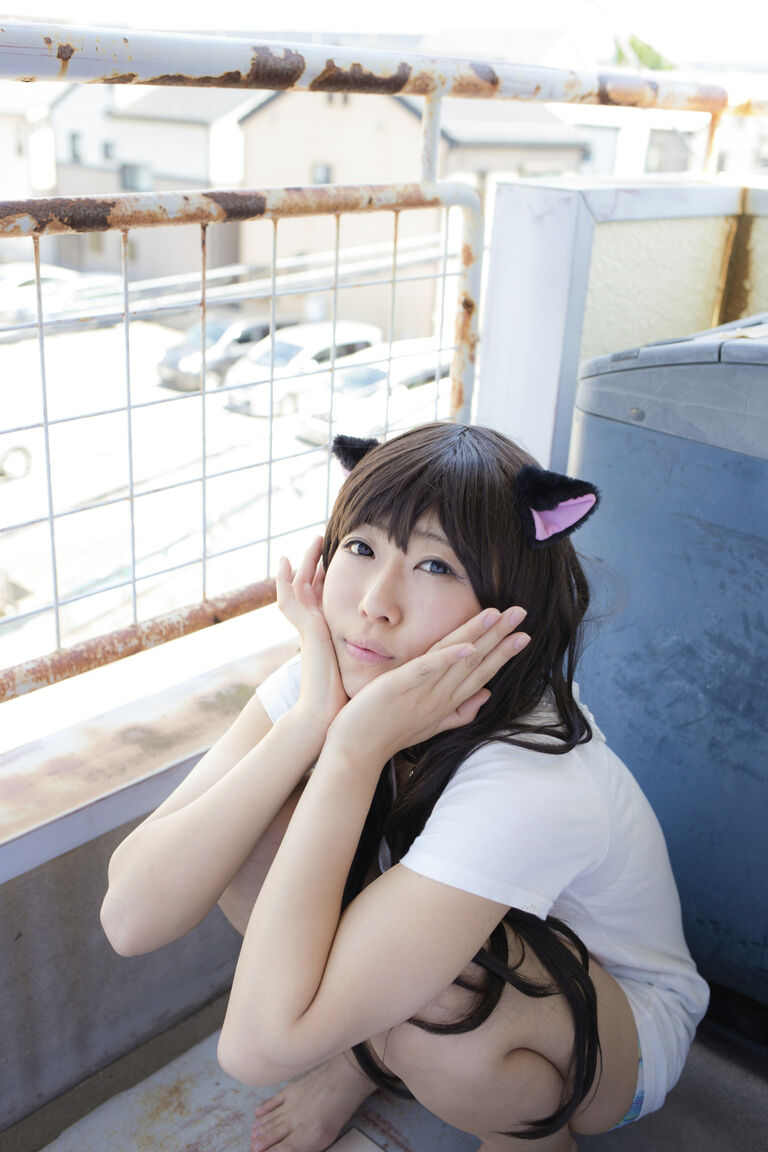 【写真集】オリジナル猫「ねこかぶり」