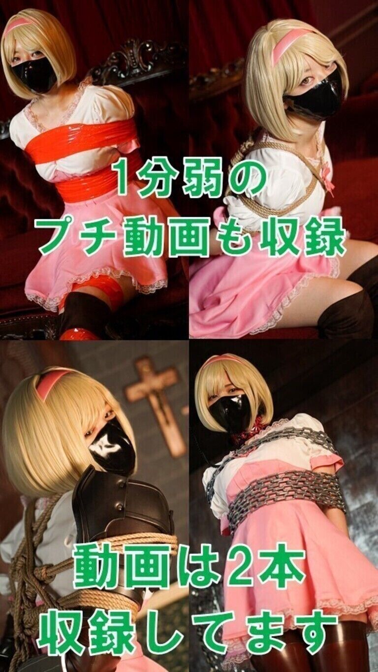 捕虜になった団長