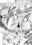 【ArcR/FutanariYuri】Bees and fruitless flowers-first part
