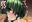 2019年11月~2020年6月おまとめDLパック