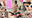 NCY103全日本カメコ協同組合【特別価格映像】身長140cm台声優アイドル志望美少女レイヤー18歳「もう中に出さないでッ、赤ちゃんできちゃうぅ」【中出し5発×鬼イラマ2発】パイパン思春期性器ガン突き破壊!絶叫痙攣アへ顔アクメ連発でツンデレ崩壊精便所屈服