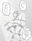 クライシス〇〇乙女絵巻