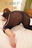 Pheromone Shower 05