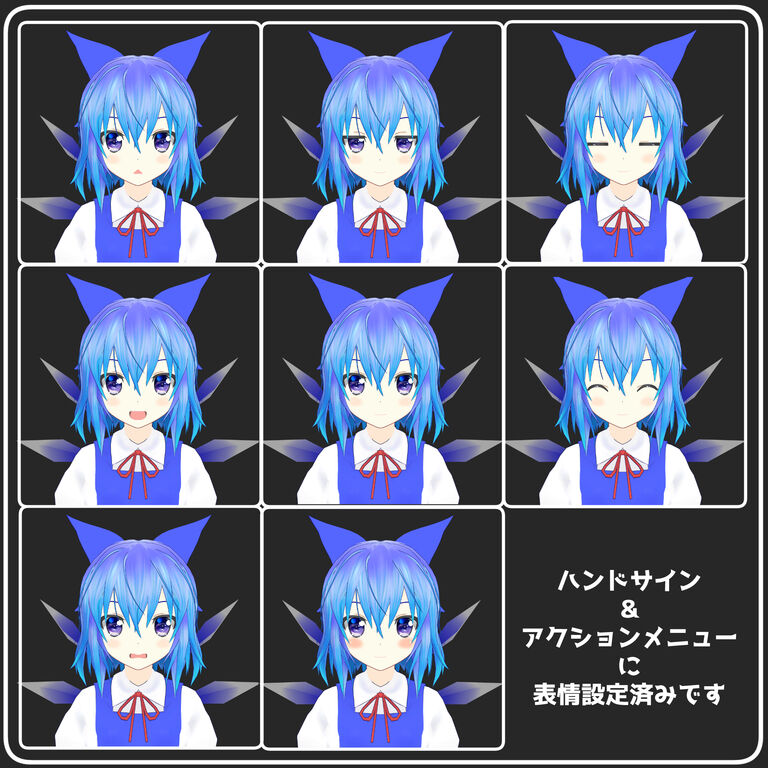 【スペシャル支援3様価格】アバター向け3Dモデル　ゆきはね式チルノ