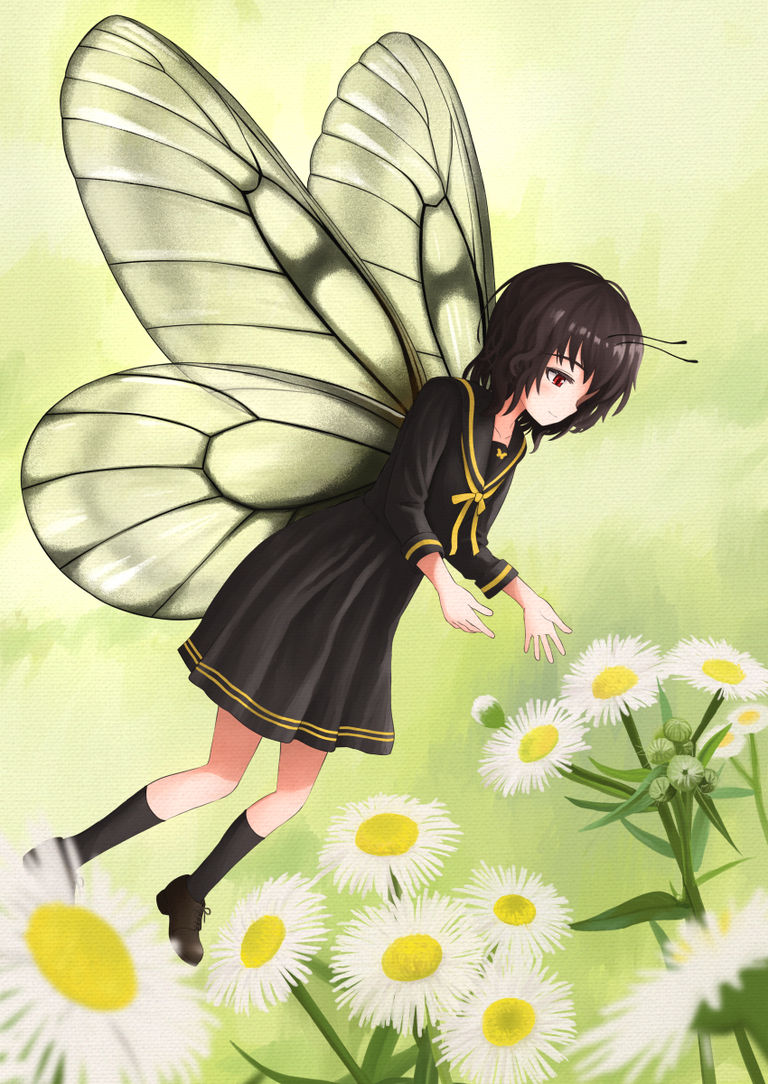 鱗翅妖精少女記
