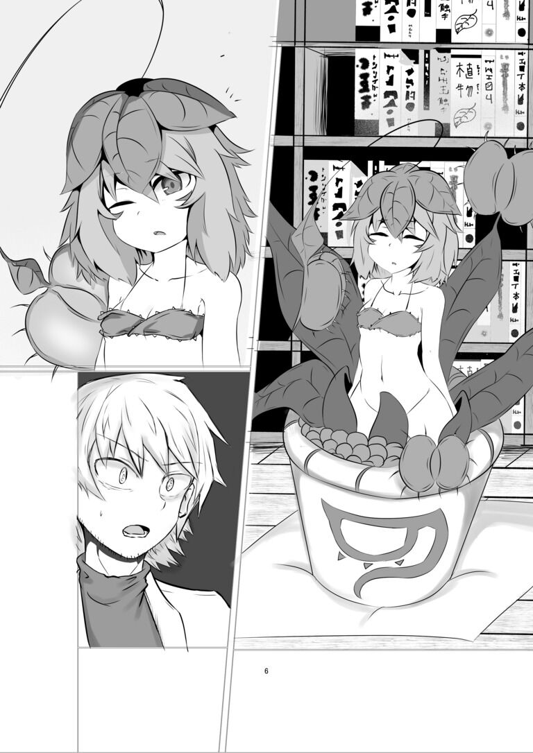 ハエトリソウのディオネさん