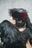 Flutter Raven's wings 写真集