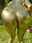MessyReport007G