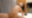 【無料】連続絶頂SEX㊙️逝かされまくりました...