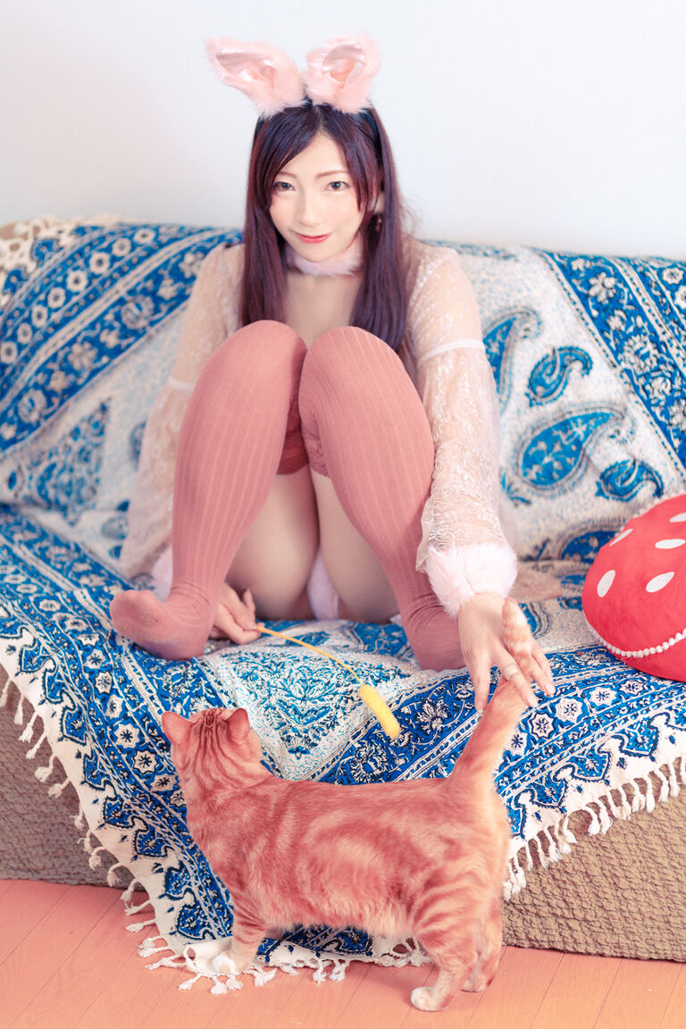 BunnyBunny! 24958