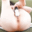 アナルヒクヒクオナニーしちゃいました🍑