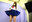 くすぐり制服コレクション Vol.2　~また3人の制服美女をくすぐっちゃいました♬~　