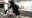 豚さんメイドに二穴責めのお仕置き！