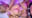 Fantia限定公開動画#10(2022年11月公開)