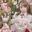 【写真】Megumi Secret Base Vol.6.5