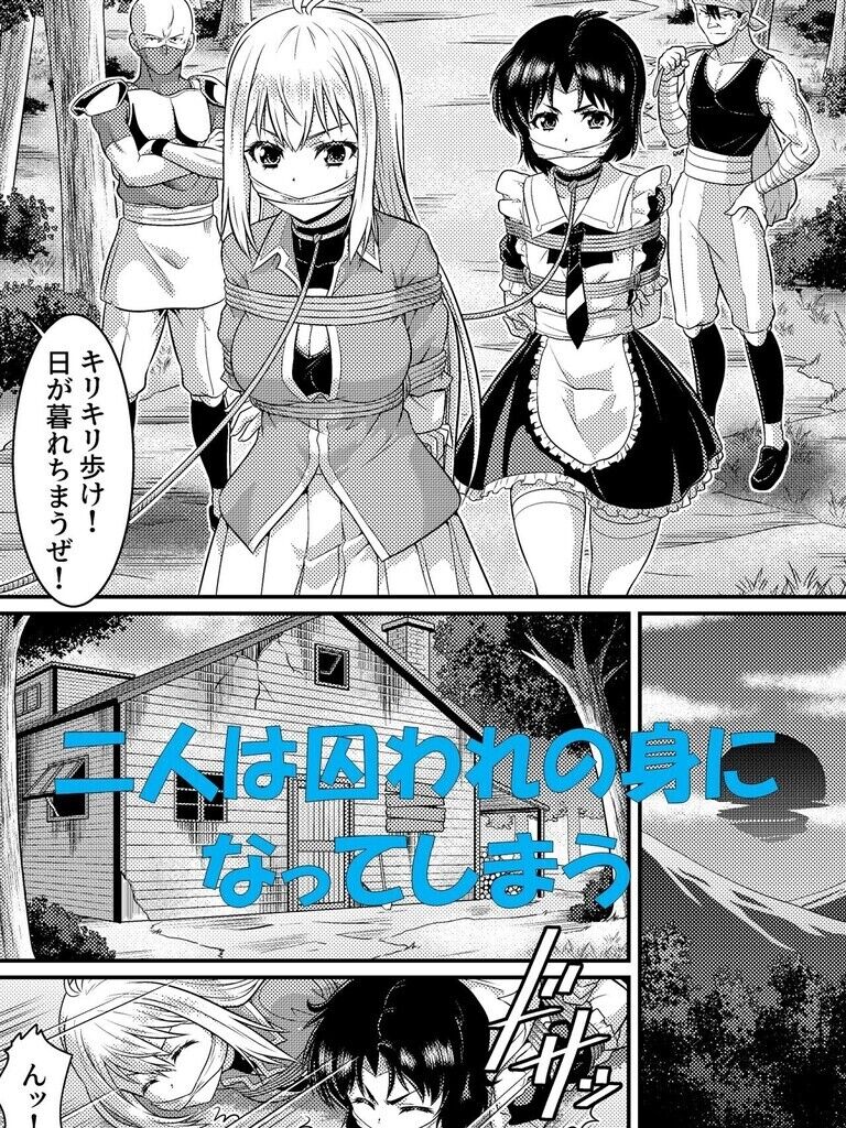 TS騎士と女装メイドの大冒険　第１話