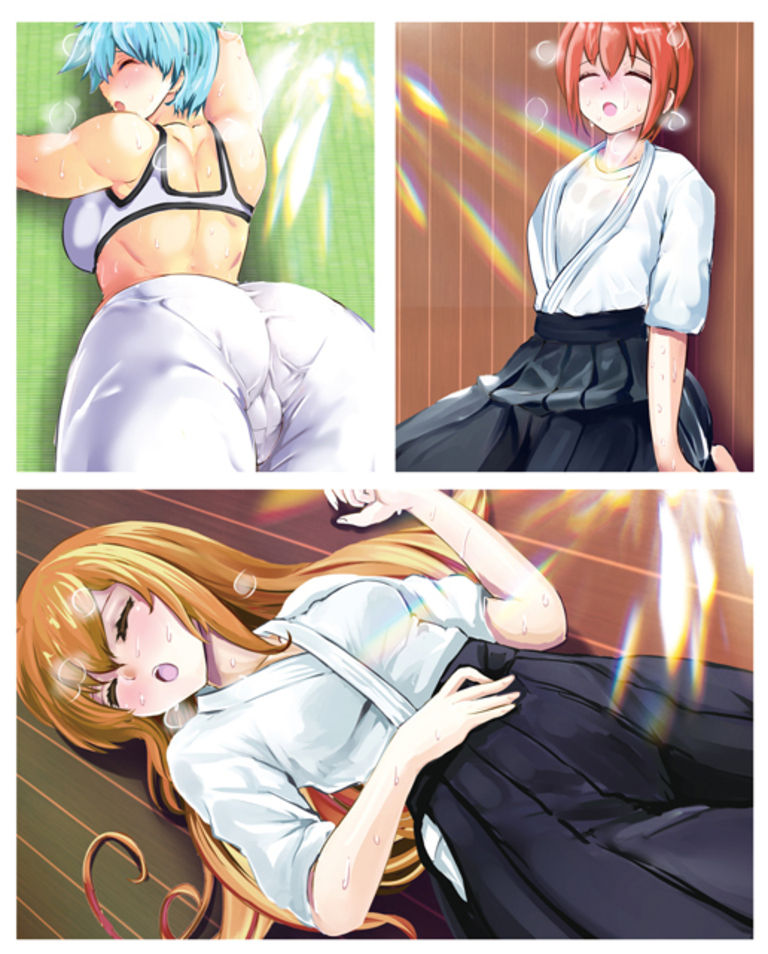 武道少女 弐