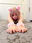 子猫の肌した女の子シリーズ ROM version 〜PINK CAT〜 (Photo)