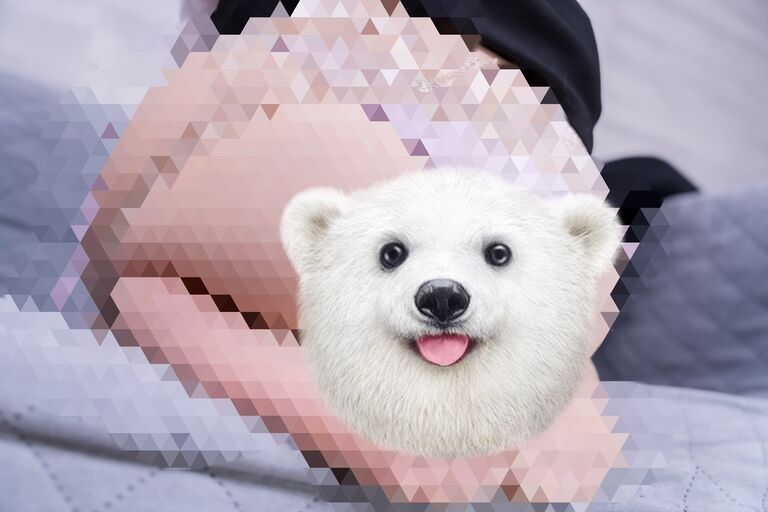 がんばれ！就活生ちゃん！
