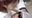 【全全全部盛り！】はぴまるちゃんの『ツバベロＭ男』シリーズのコンプリート全部盛り！ SD