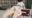 艦これレ級リ級青葉ギロチン拘束前後責め3PふたなりレズSEX20191026モーションデータ