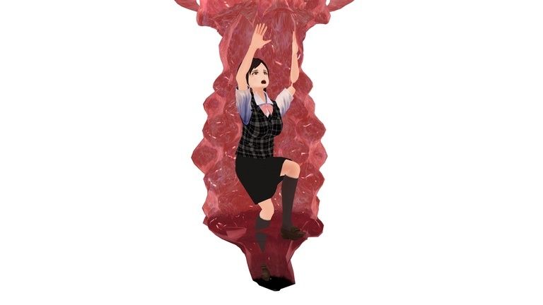 ミート・トラップ