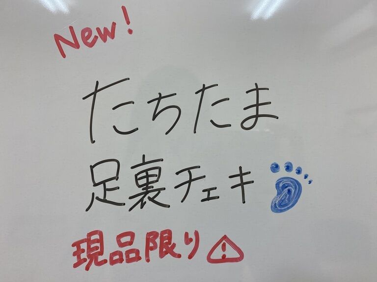 チェキ⑮