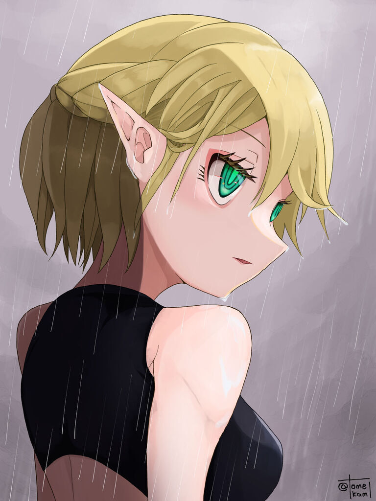 パルスィボン