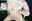 【DL版】sexycyberpussycat