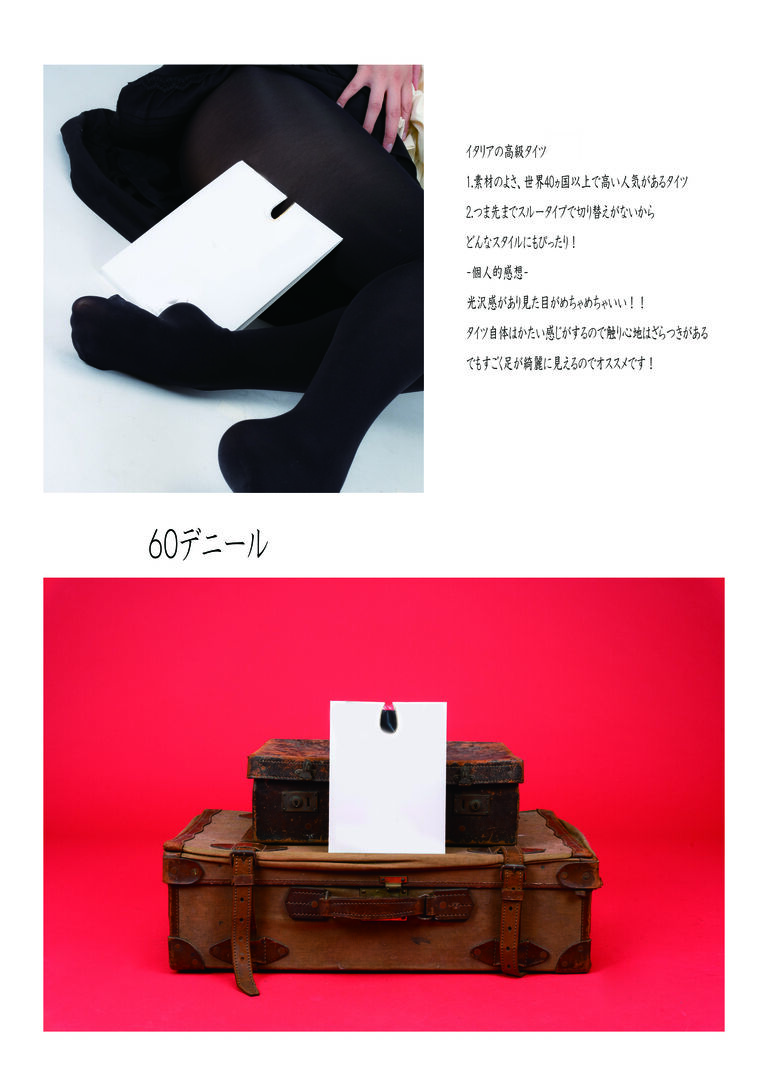 ６０デニールタイツ図鑑　電子ver