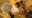 💕Reゼ●🔞レ●逆バニー💕池●ロで可愛すぎると取材を受けた圧倒的美少女レイヤー!顔面偏差値東大理三レベル!お酒も精子もガブ飲みし、バチボコに膣奥エグり倒されアヘ顔ヨリ目イキ!テカテカオイルセックス編【buena133】