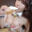 【100円お試し動画】生フェラしてみたらムラムラしすぎて...💓🥛