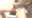 【出ちゃううぅぅ……////】おしっこを我慢しながらデンマでオナニーしたら我慢できずおま〇こ丸出しで放尿しちゃった……////