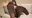 【9月無料DL】会員様 限定特典♡パンスト動画約18分！