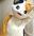 一体型ミケネコ＋リスコスプレ２重着ぐるみ 脱ぎ映像