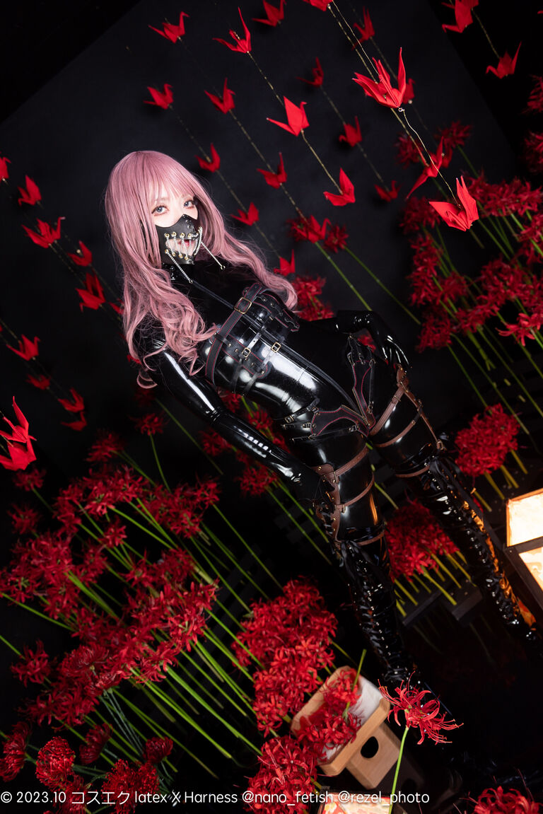 【DL版】latex × Harness【2023コスエク秋新刊】