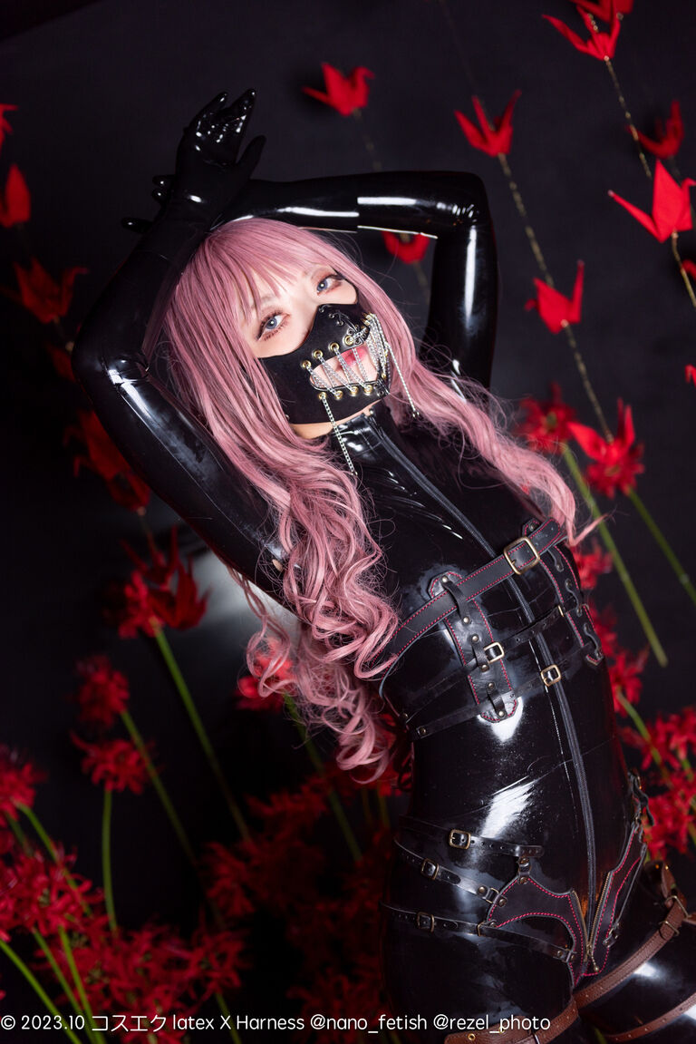 【DL版】latex × Harness【2023コスエク秋新刊】