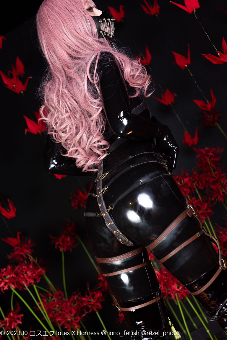 【DL版】latex × Harness【2023コスエク秋新刊】