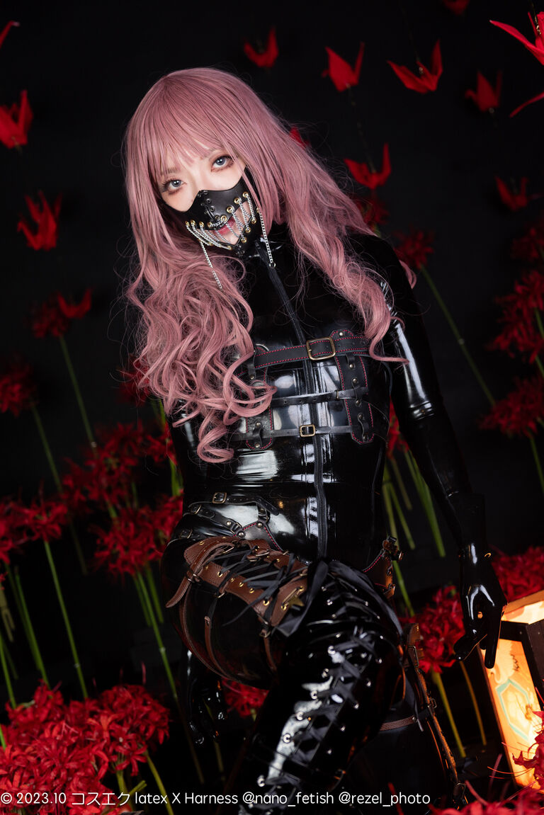 【DL版】latex × Harness【2023コスエク秋新刊】