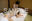 #⑤③【秘密の写真館＠さくら・りん】（ダウンロード版）