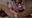 双頭ディルドで見せ合いオナニー💕W絶頂レズSEX💕