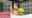 2020年2月投稿分まとめ動画・断面図無し版