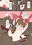 初心者魔法少女すずな２